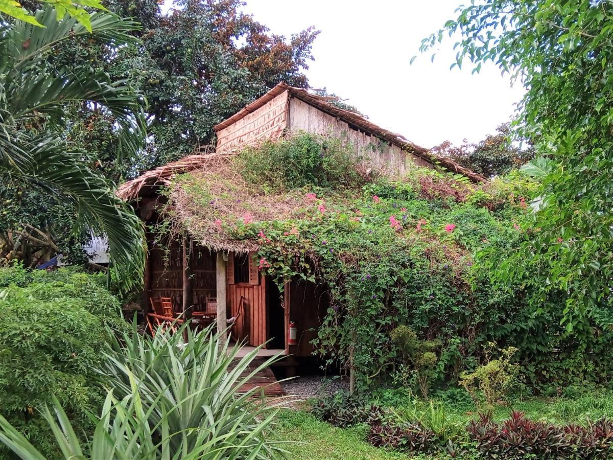 Mekong Delta Ricefield Lodge カントー エクステリア 写真
