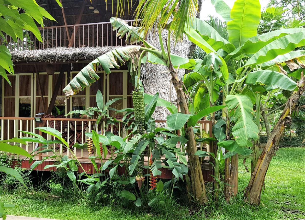 Mekong Delta Ricefield Lodge カントー エクステリア 写真
